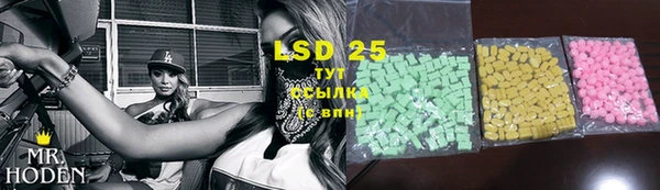 индика Алзамай