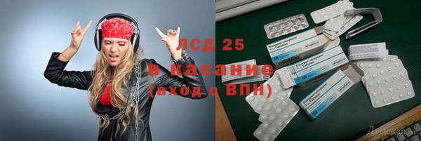 индика Алзамай