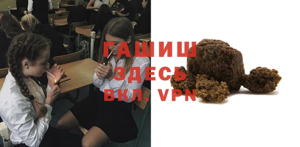 гидра Алексеевка