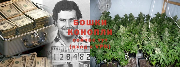 соль ск Гусь-Хрустальный