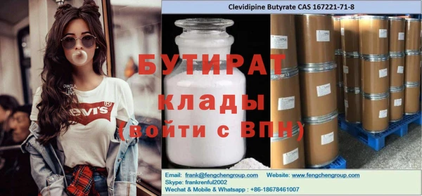 индика Алзамай