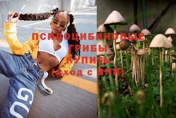 гидра Алексеевка