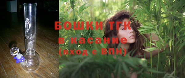 гидра Алексеевка