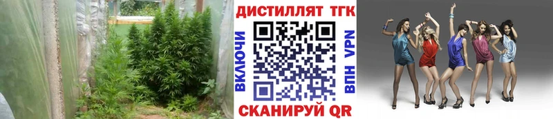 Дистиллят ТГК концентрат  Геленджик 